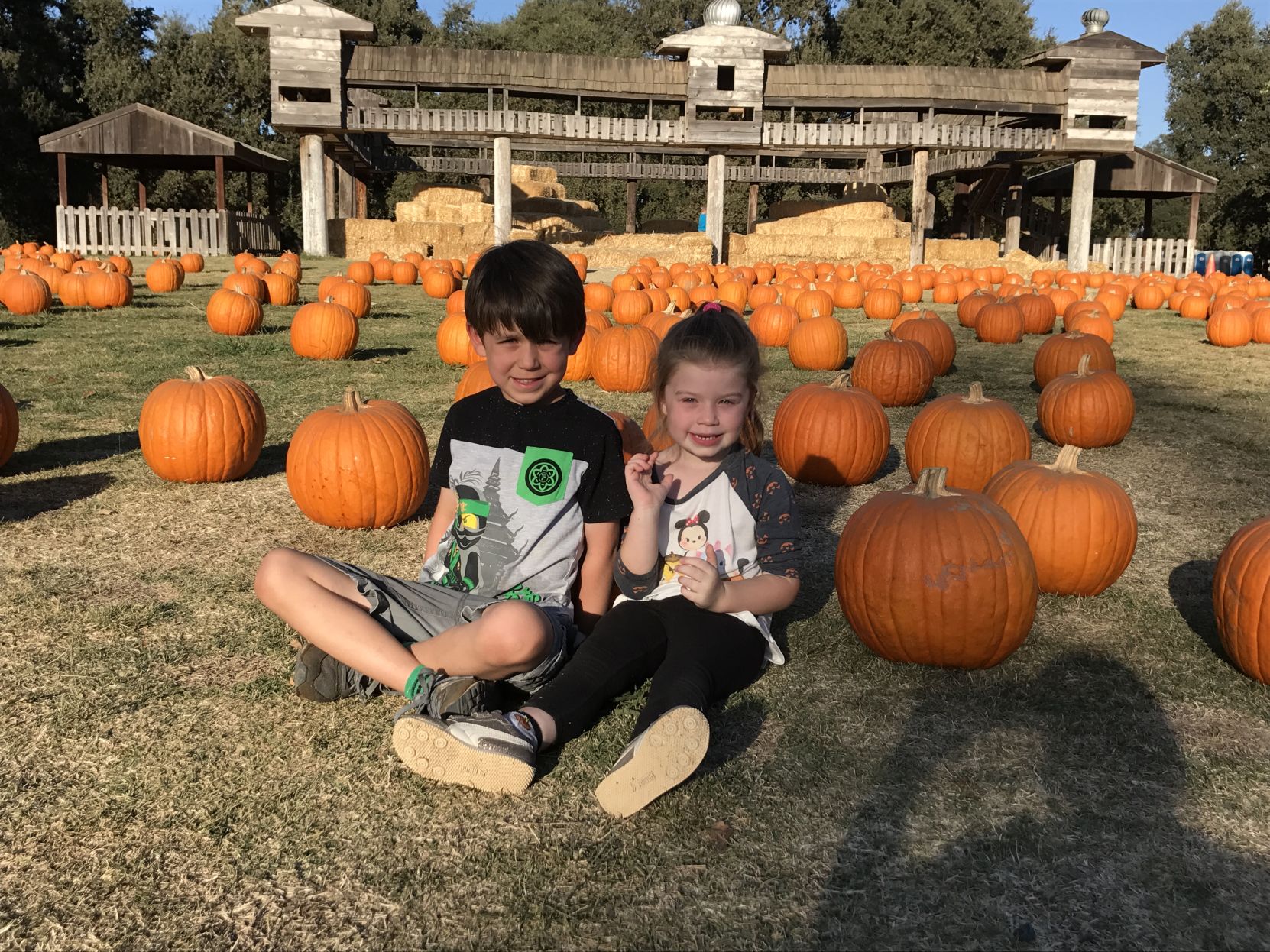Picking Pumpkins 2017